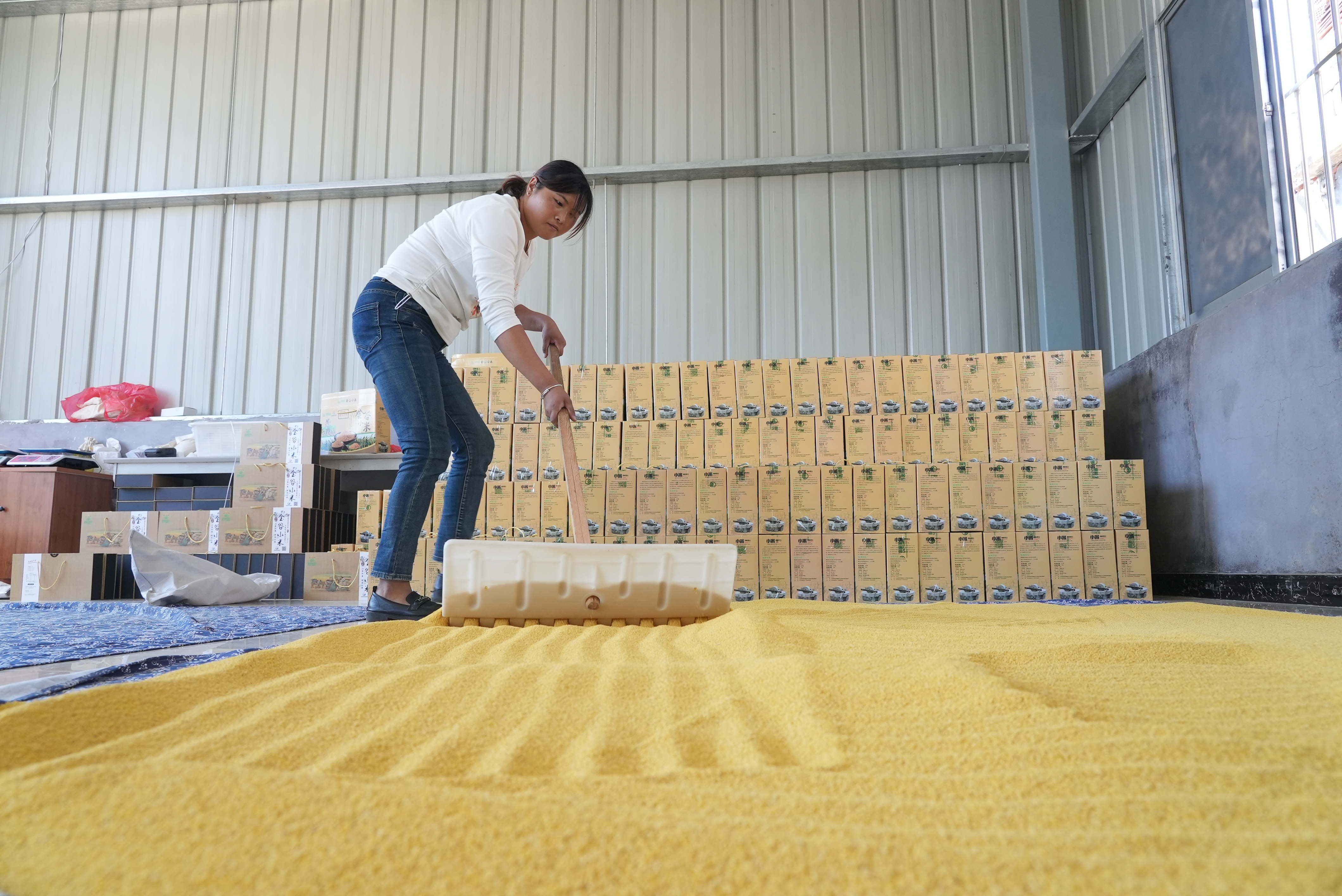 融媒·先锋丨街道创新好做法，30个村拓宽致富路——跟着支书来创业