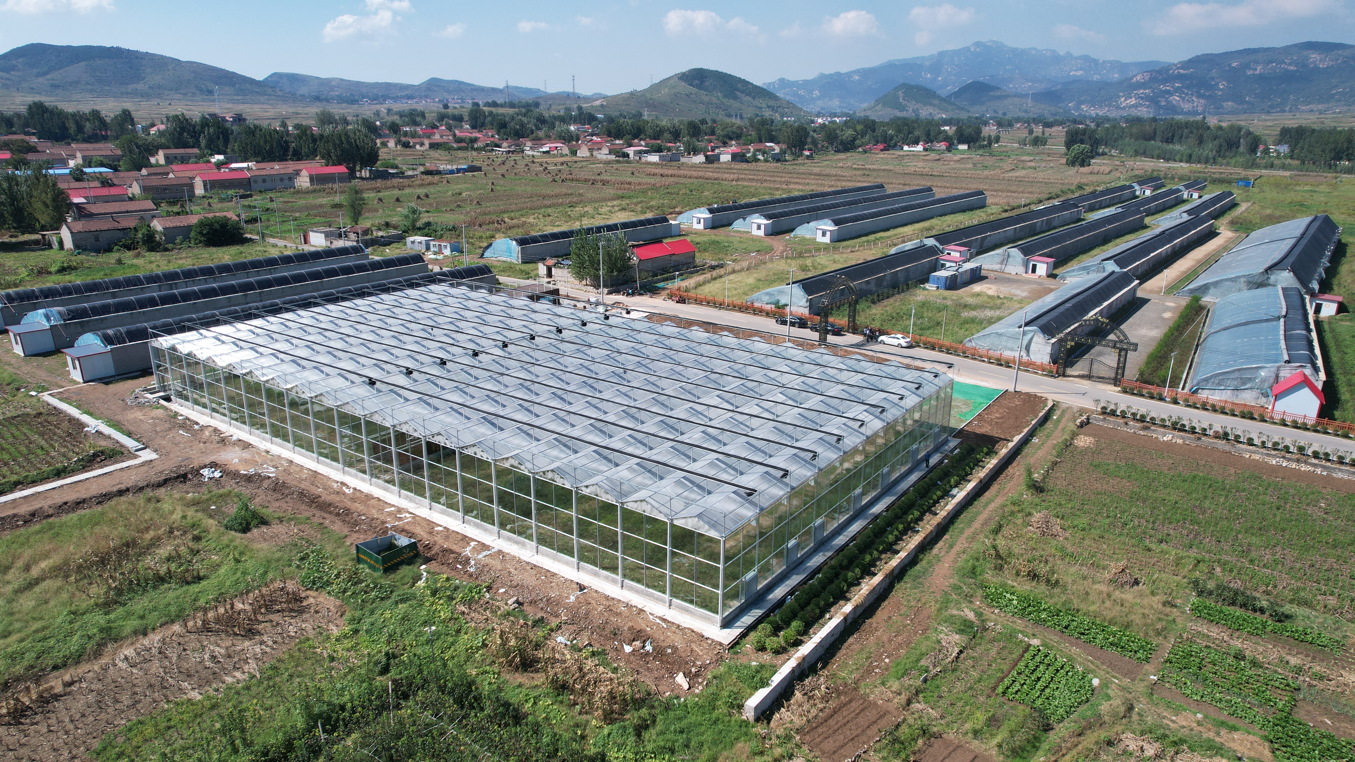 融媒·先锋丨街道创新好做法，30个村拓宽致富路——跟着支书来创业