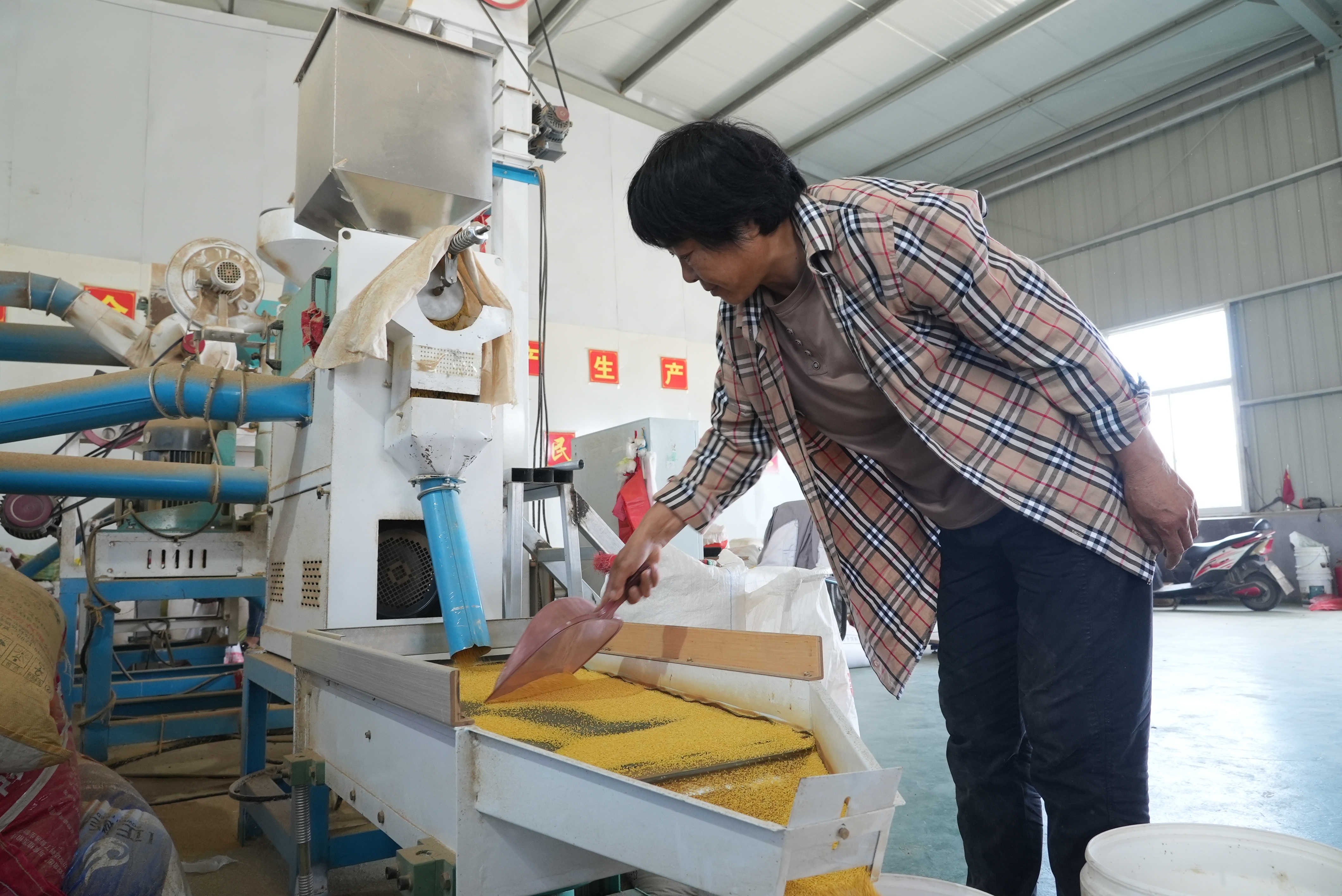 融媒·先锋丨街道创新好做法，30个村拓宽致富路——跟着支书来创业