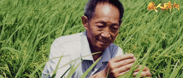 “感人瞬间”微视频｜只为中国