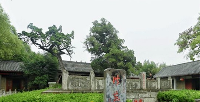 寻访济南乡村古树：散落郊野仍迸发生机，有村子为保护古树“绕树修路”