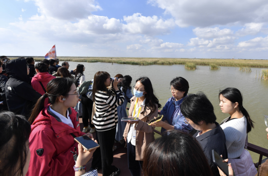 沿着黄河遇见海｜20余万亩湿地补一遍水只需4天 东营探索黄河口湿地修复模式