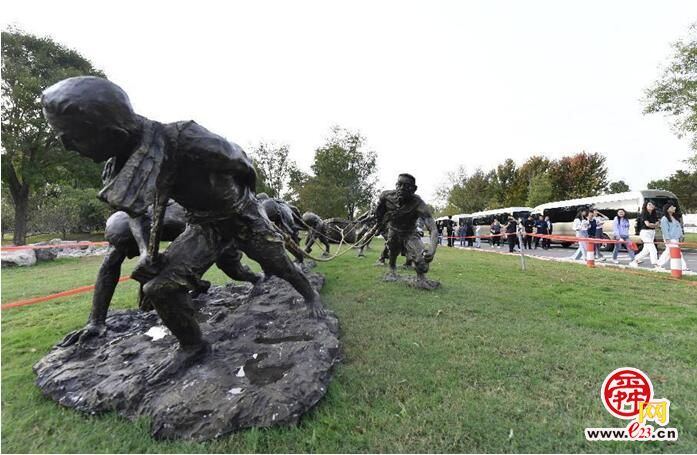 沿着黄河遇见海｜从满目黄沙到绿树成荫 这个黄河边的小村子如何焕发新生？