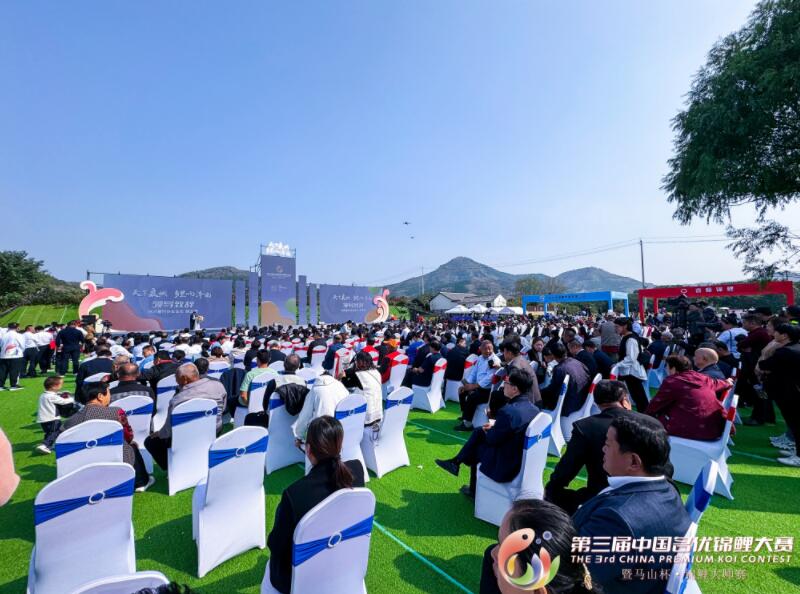 第三届中国名优锦鲤大赛暨马山杯·锦鲤大师赛开幕