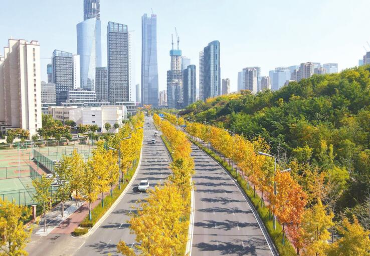 Leaves Turn Red as Autumn Arrives