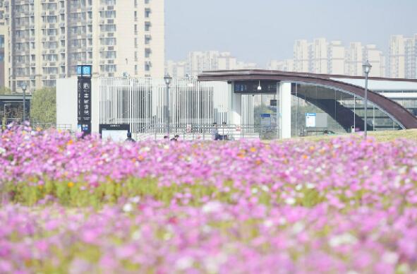 Mit der U-Bahn zu der Blumensee