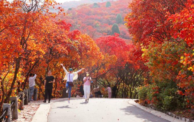 Beautiful Scenery in Ji’nan Red Leaves Canyon