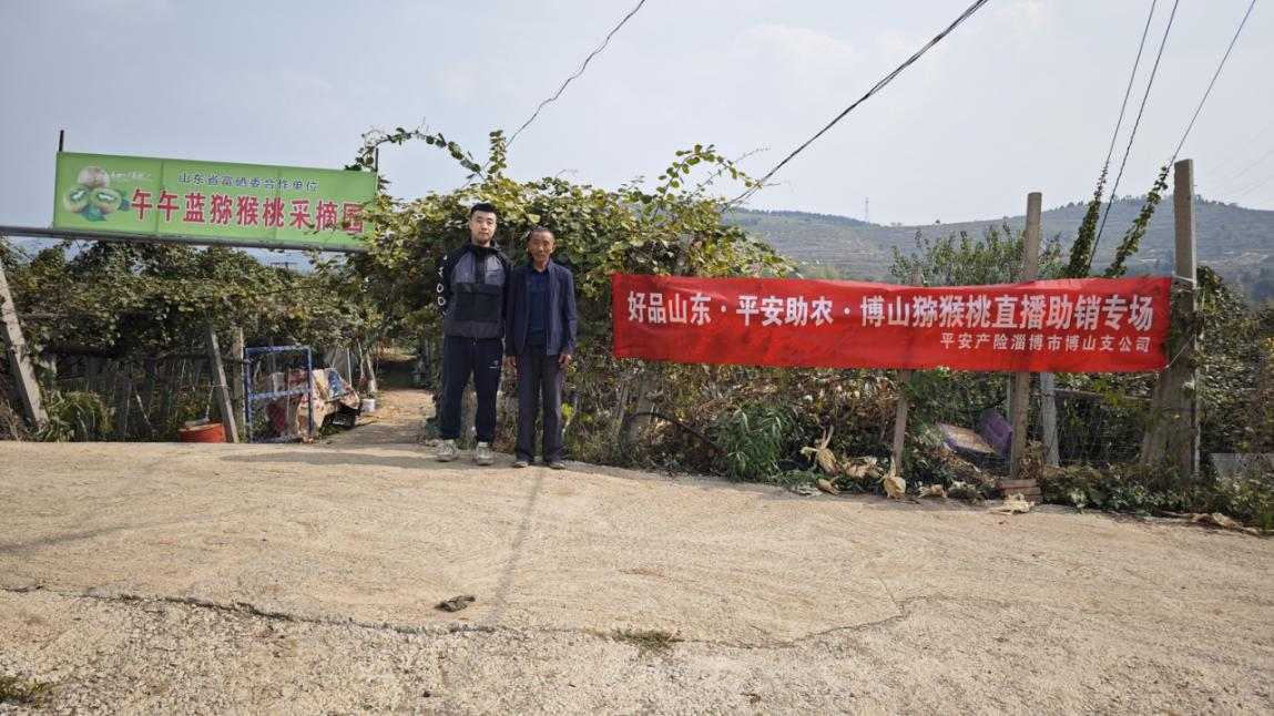 山东平安产险：直播助销淄博博山猕猴桃