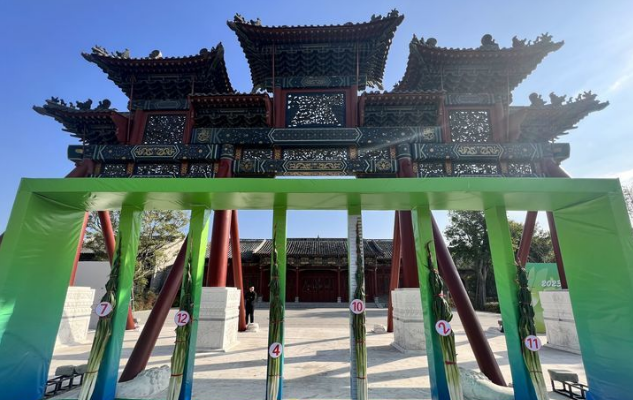 2米586！2023章丘“葱王”超吉尼斯世界纪录