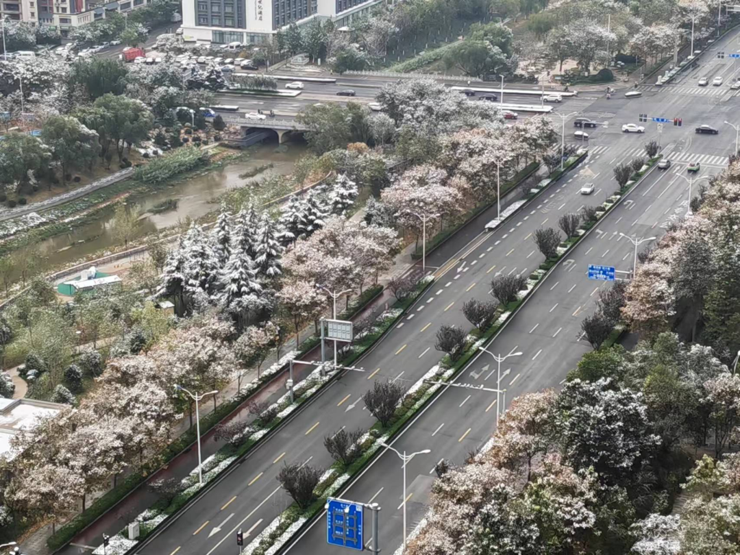 济南今冬初雪已至！最低温降至-5℃！预计未来一周……