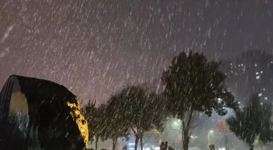 济南今冬初雪已至！最低温降至-5℃！预计未来一周……