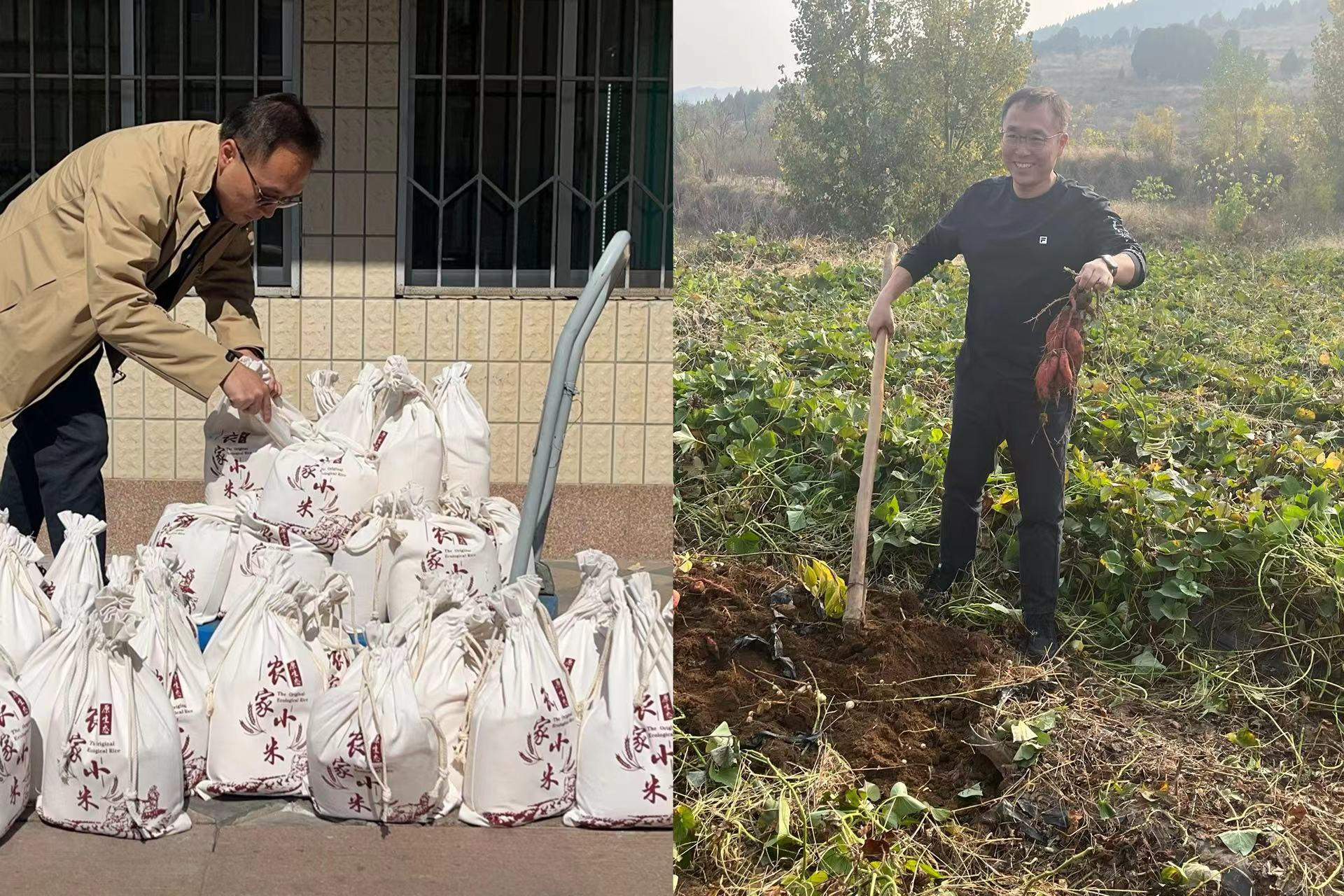 张鲁中：驻村帮扶践初心 金秋助农促振兴