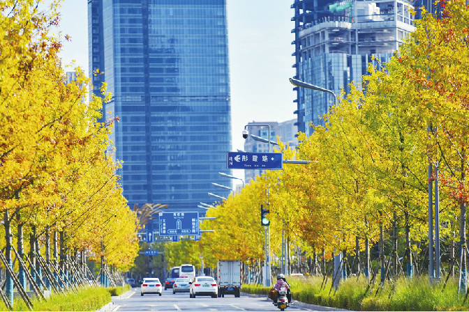 Most Beautiful Road for Watching Autumn Leaves in Ji’nan CBD