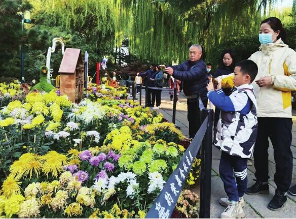 Autumn Chrysanthemum Exhibition in Baotu Spring Park Dropped Curtain