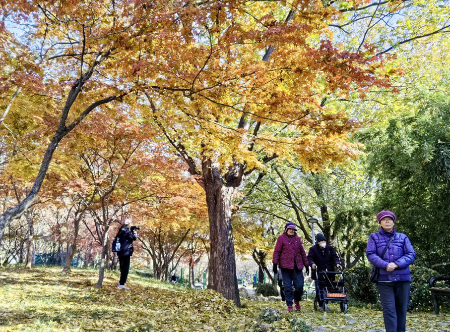 Quancheng Park Wears Colorful Winter Clothes