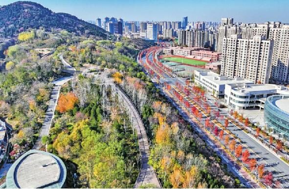 Season of Red Leaves in Winter Unlocks Beautiful Scenery of Ji’nan