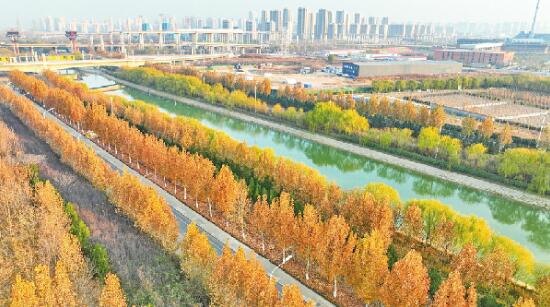 Venez admirer la beauté hivernale à la rivière de Xiaoqing