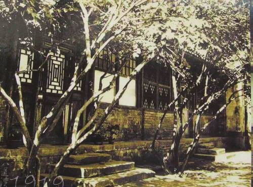 “顶流”鲁迅的侧面