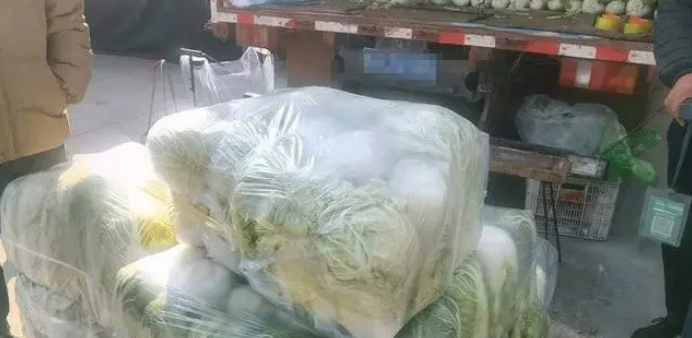 入冬白菜缘何变成“白菜价”？气温导致各产地白菜“集中上市”