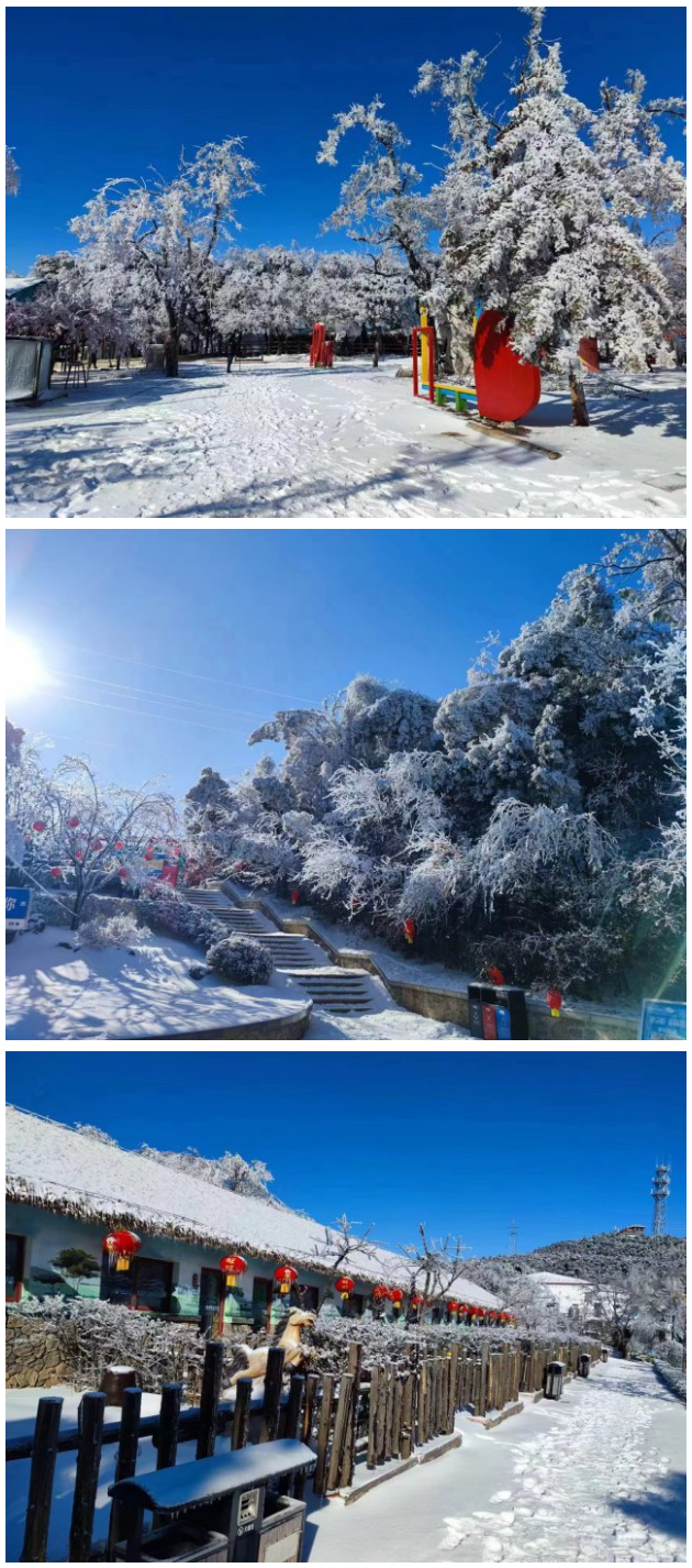 跑马岭雾凇漫岭持续惊艳，到齐鲁雪乡体验泼水成冰