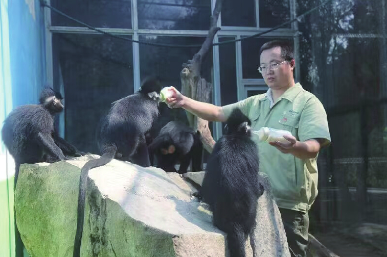 济南85后硕士当了8年猴子“保姆”，猴子和他闹着玩也不“见外”