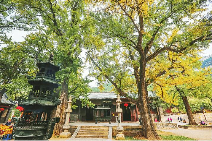 赵明诚的济南行迹与易安词作解读