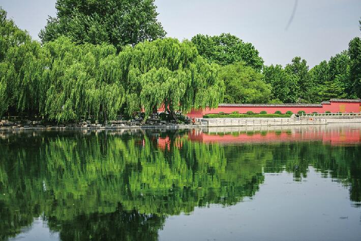 赵明诚的济南行迹与易安词作解读