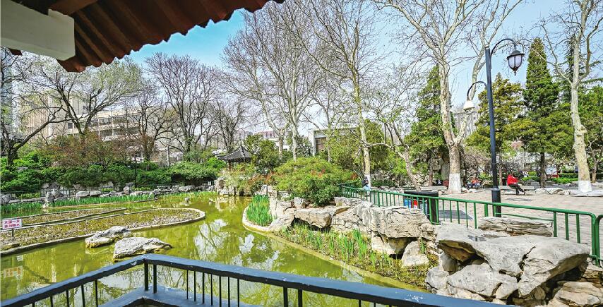 中山公园的故事