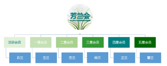 芳兰幽芷品牌蝶变升级，引领女性体质调理新时代