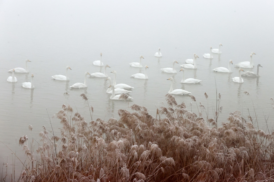 大风+降温+两股冷空气，济南天气又要变，最低-8℃