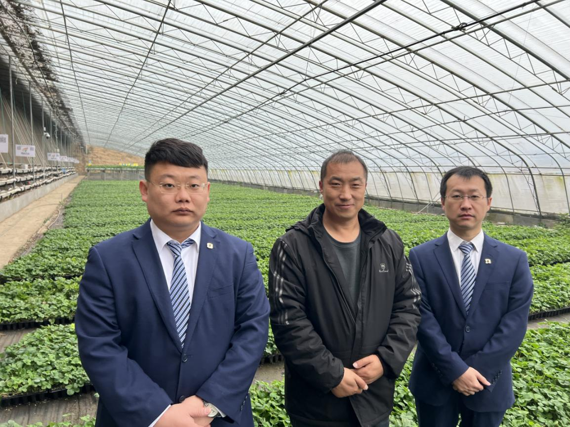 齐鲁银行“蔬菜贷”助力蔬菜大棚实现农业现代化