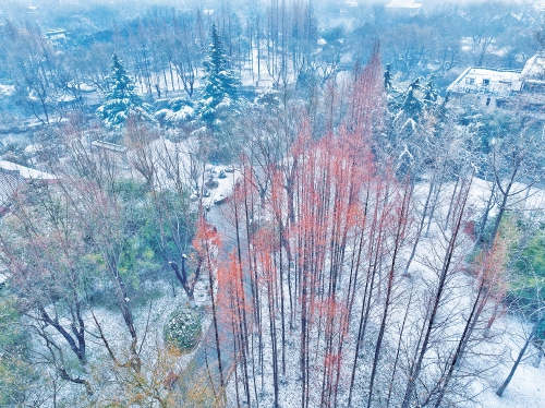 初雪携大雾来济南，明起或再迎小雪