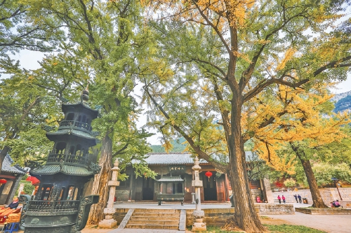 网红变长红，路途中目光所及皆为图画！泉城十大打卡地等你品阅