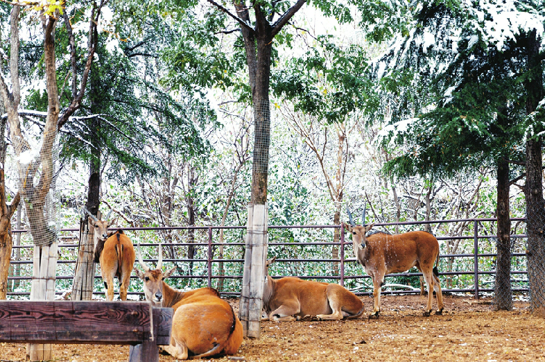 网红变长红，路途中目光所及皆为图画！泉城十大打卡地等你品阅