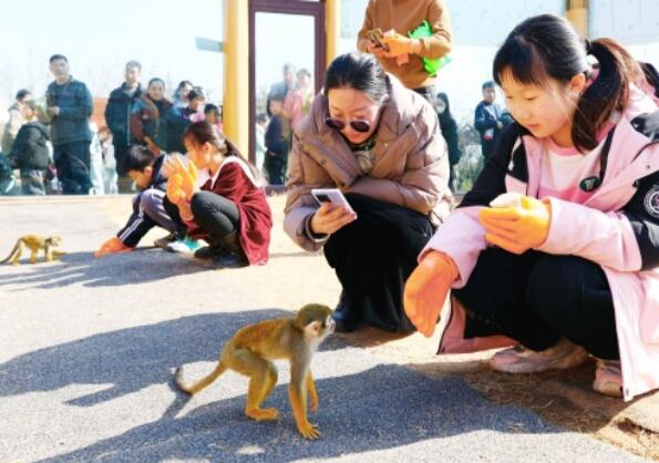 Vacances près de 200 000 visiteurs à Jinan wildlife world