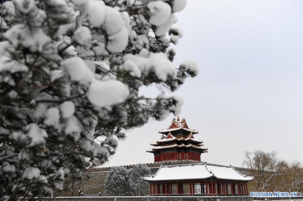 Пейзажи Пекина после первого снега в году Дракона