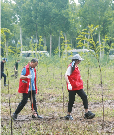 今年济南将建设50处“共建花园” 让市民自己动手参与体验自然生态