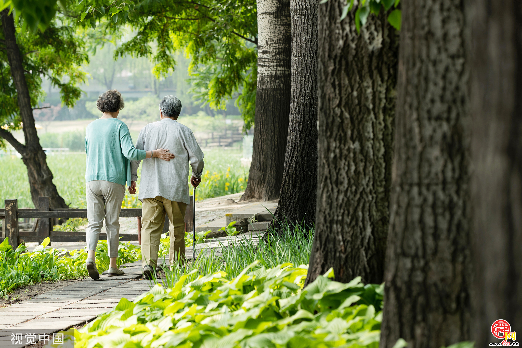 《2023年山东省养老服务消费状况调查报告》发布 “社会交往”成为居家养老最主要需求