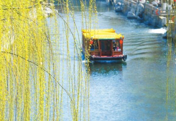 Tender Willow Buds and Delicate Flowers Bring Spring to Ji’nan