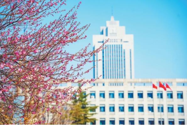 Frühlingsblumen auf dem Campus der Shandong Universität