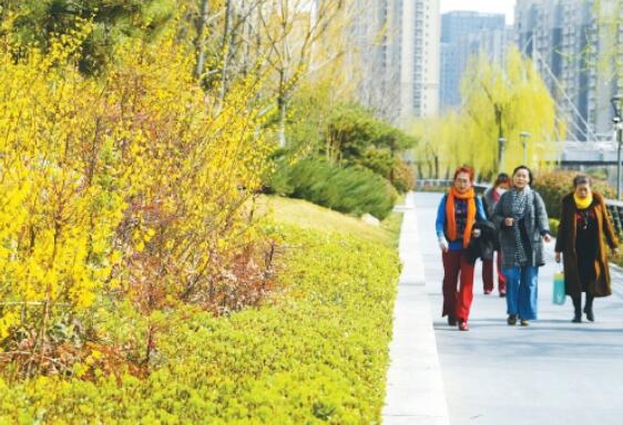 Les vents printaniers soufflent sur les rives de la rivière de Xiaoqing