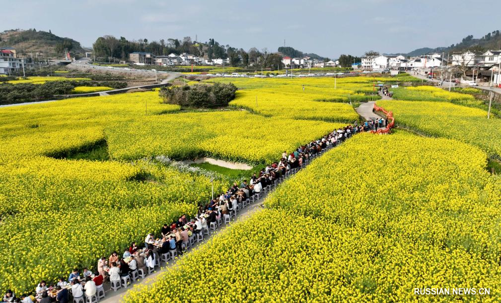 В выходные дни люди различных районов Китая любуются цветами на природе