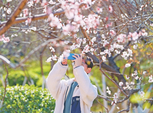 让我们一起相约花朝，共赏春花！2024济南花朝节本周六将在大明湖开幕 