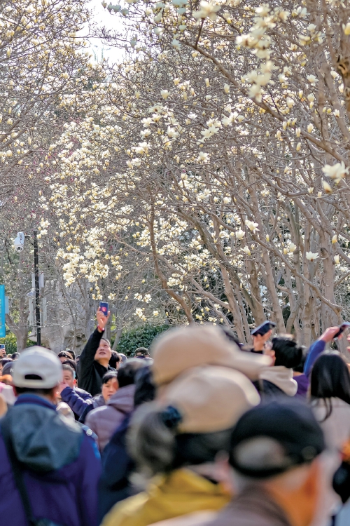 让我们一起相约花朝，共赏春花！2024济南花朝节本周六将在大明湖开幕 