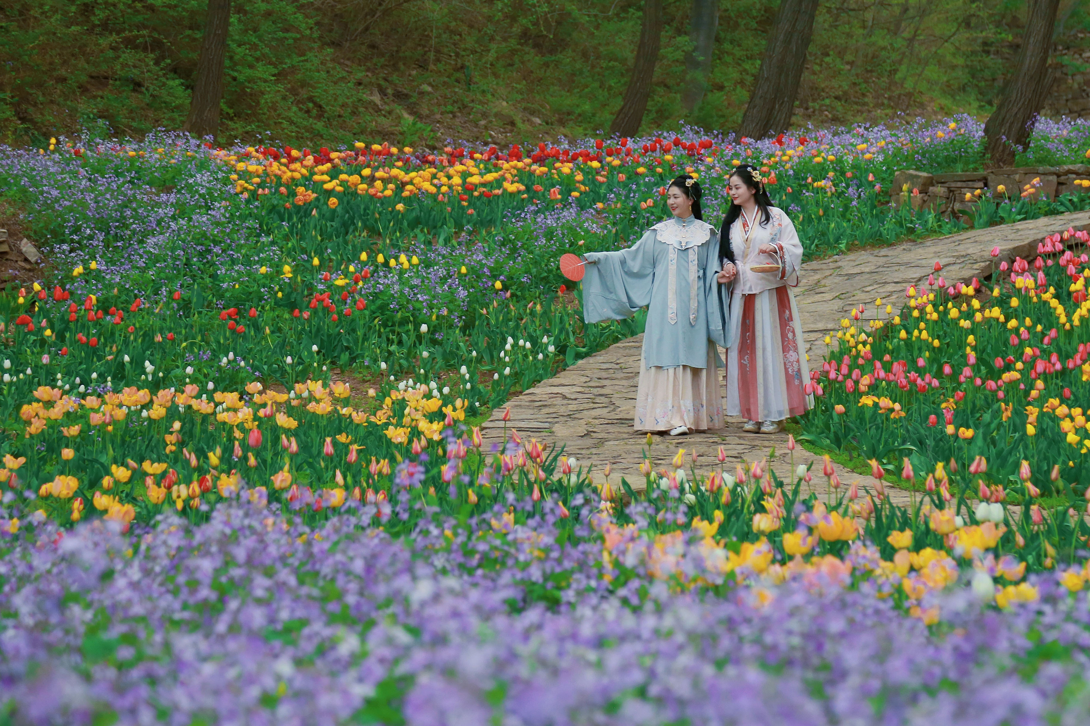 收藏！济南赏花地图plus版本来了