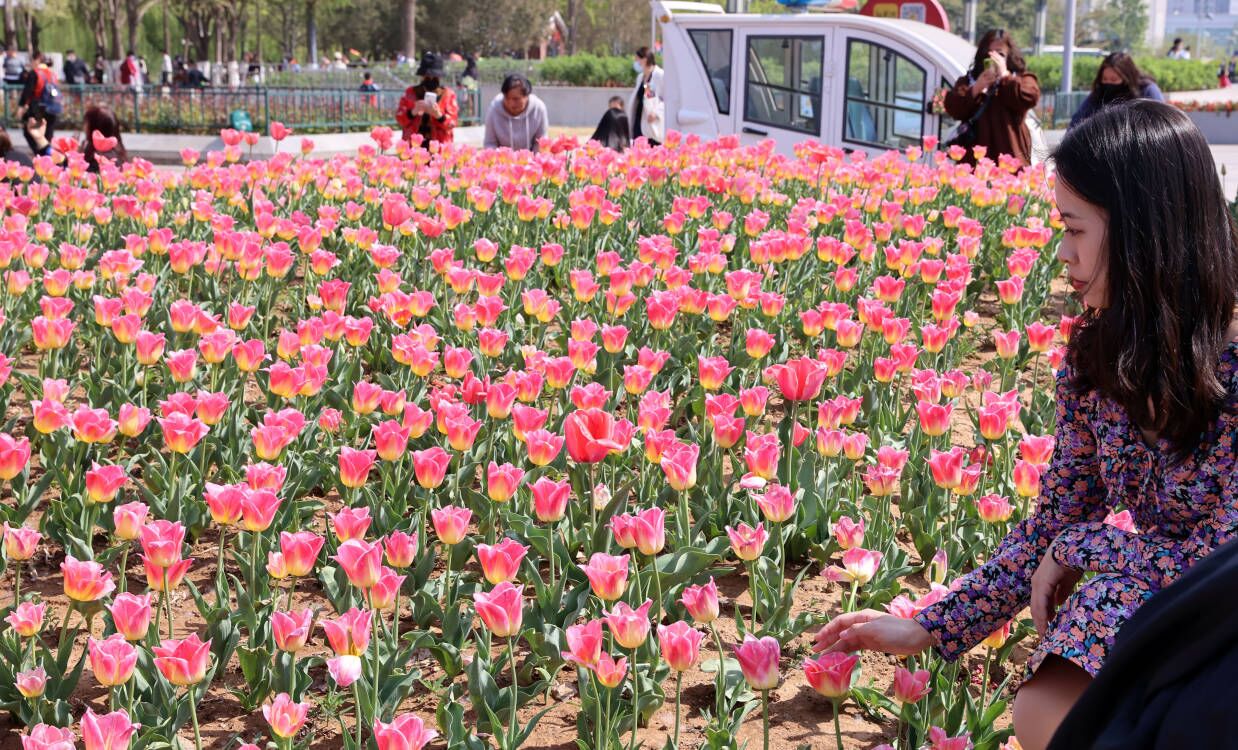收藏！济南赏花地图plus版本来了
