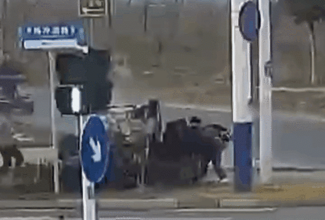 全城寻找的三位好少年，找到了！