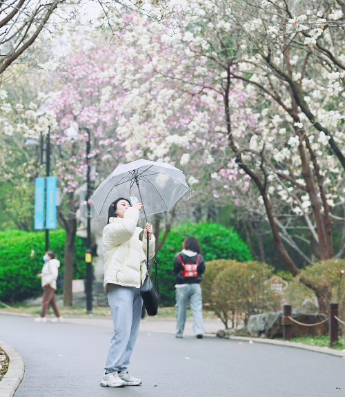 Enjoy Flowers in Ji’nan During May Day Holiday