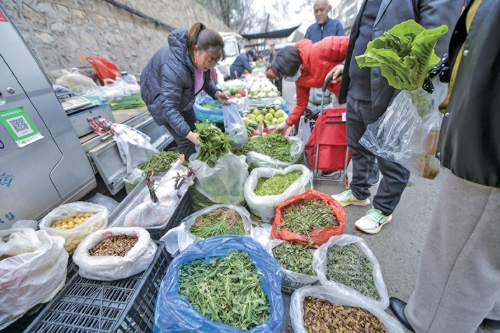 “春天限量版”野菜上市