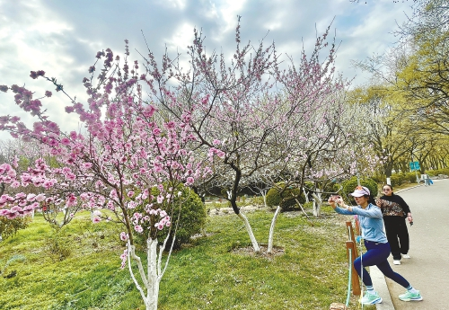 Die Quellenstadt ist überall von Blumen umgeben